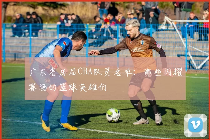 广东省历届CBA队员名单：那些闪耀赛场的篮球英雄们